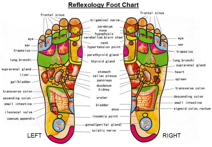 Reflexology
